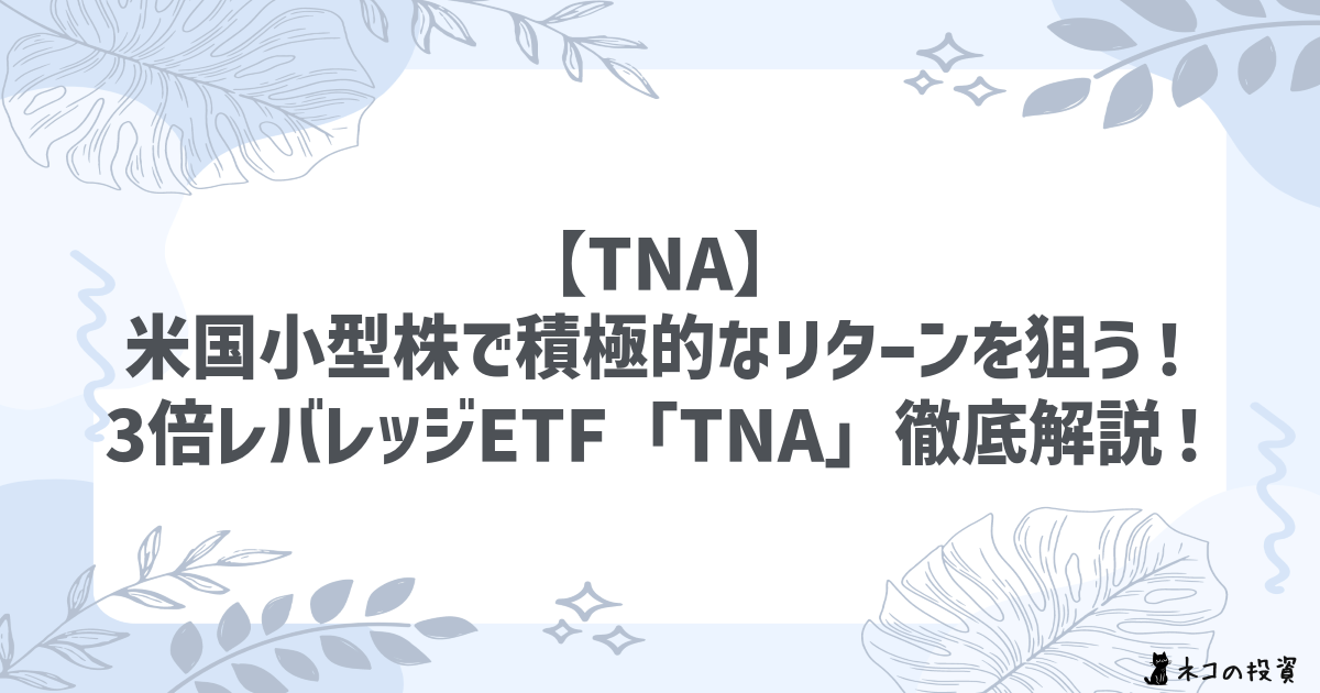 【TNA】米国小型株で積極的なリターンを狙う!3倍レバレッジETF「TNA」徹底解説!