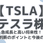 【TSLA】テスラ株：急成長と高い将来性！投資判断のポイントと今後の展望