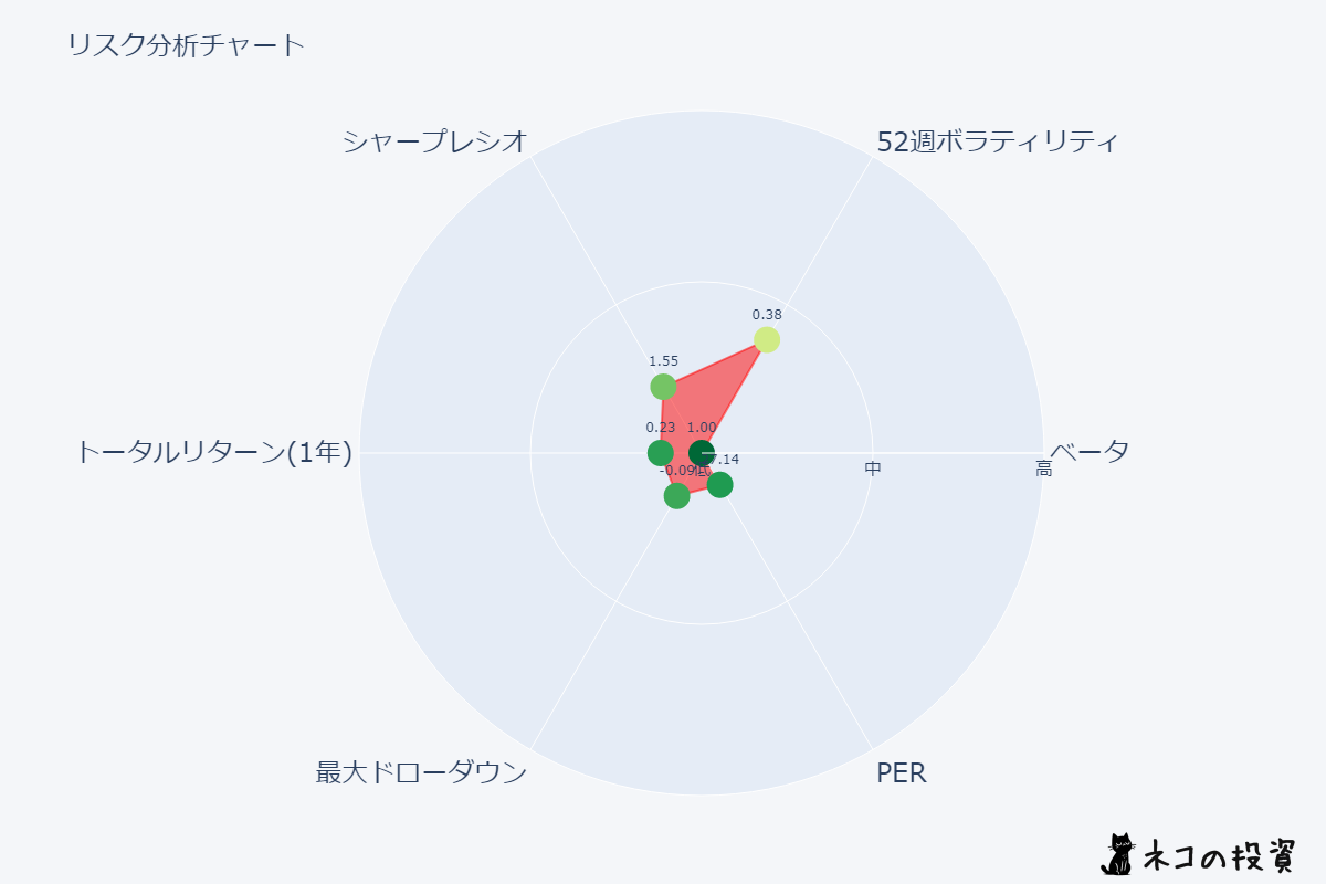 VOOリスクファクター分析