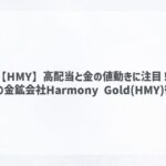 【HMY】高配当と金の値動きに注目！ 南アフリカの金鉱会社Harmony Gold(HMY)徹底分析！